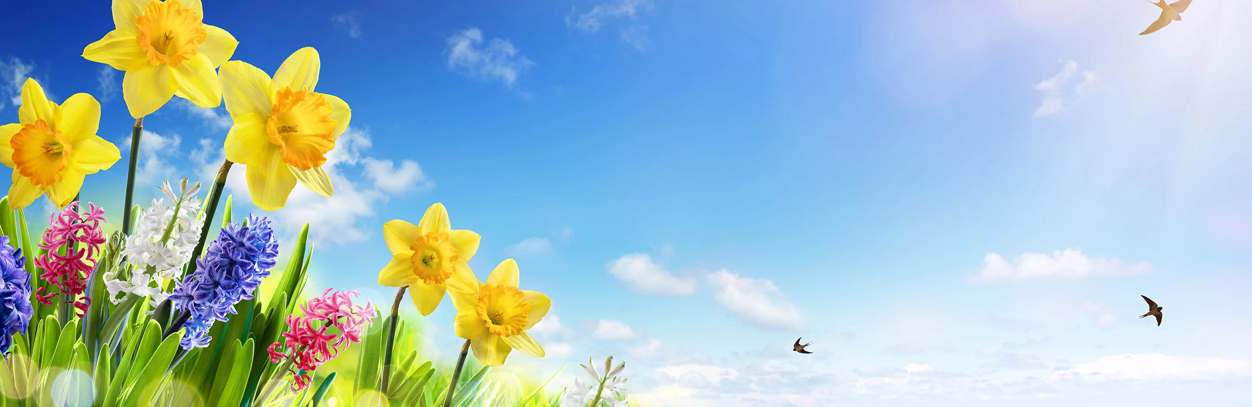 Timeless Style, American Crafted Heritage