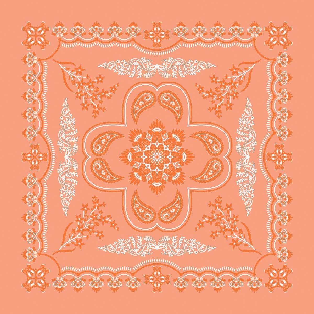 PAISLEY 22" 12-PACKS Made In The USA Bandannas